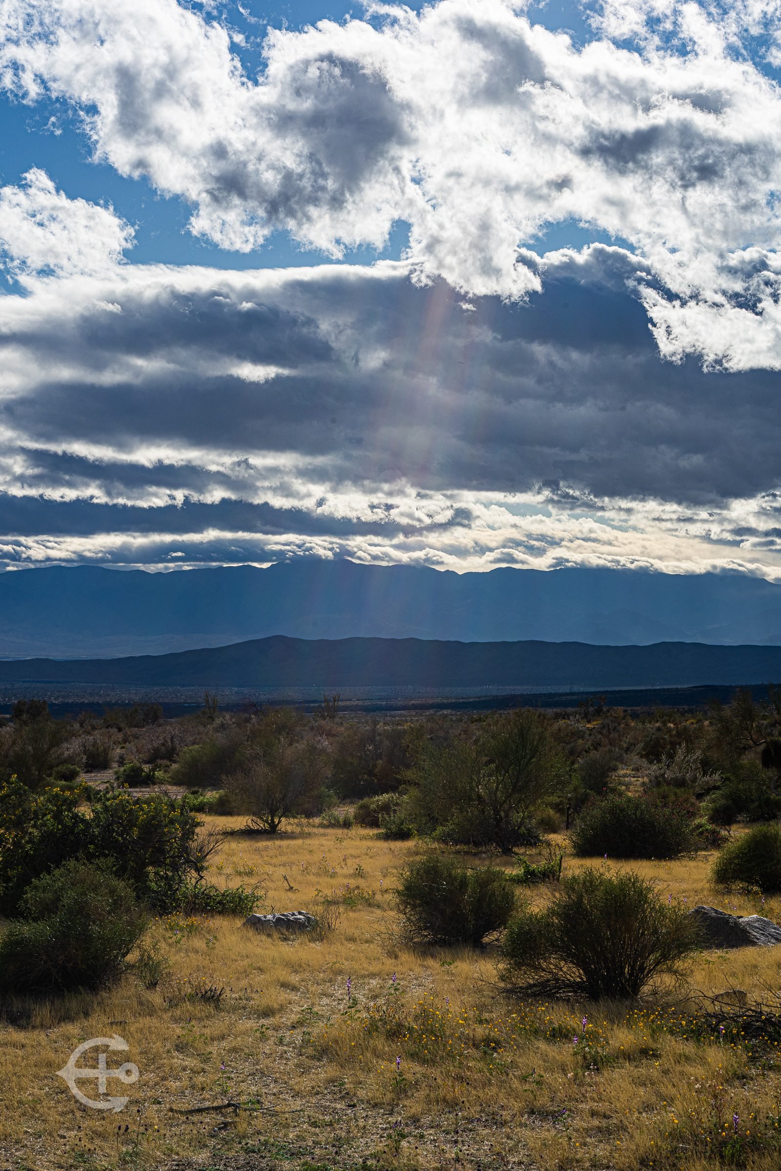 Desert landscape beneath dramatic clouds and distant mountains
